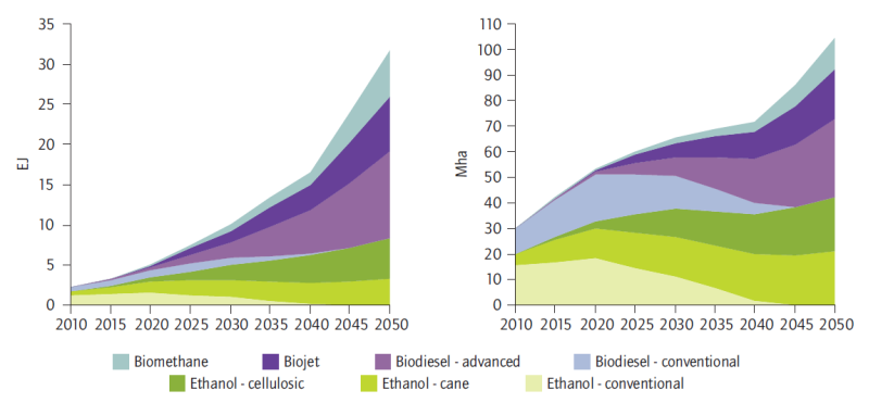 IEA Technology Roadmap: Biofuels for Transport